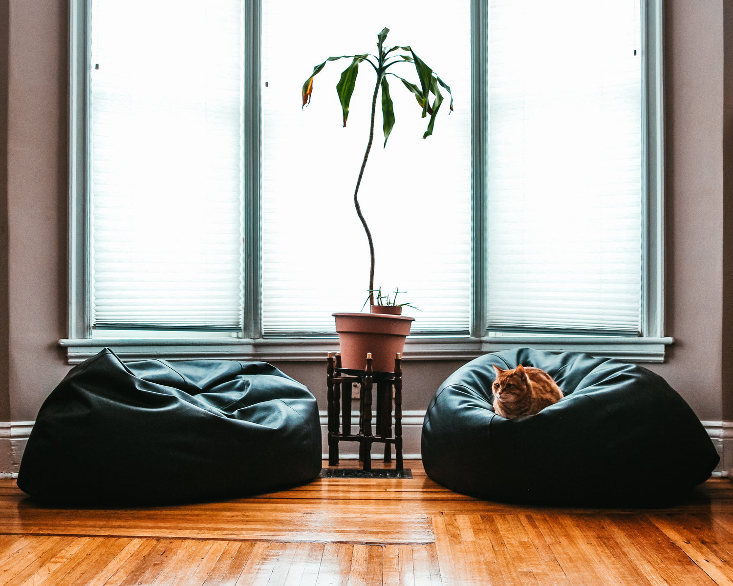 Home Lifestyle